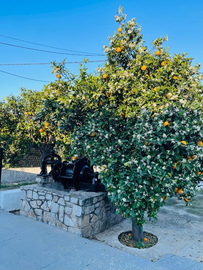 Citrus Garden Epidaurus Exterior foto