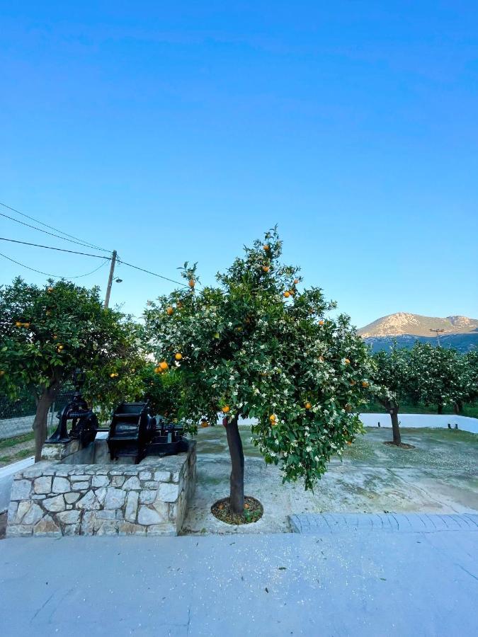 Citrus Garden Epidaurus Exterior foto