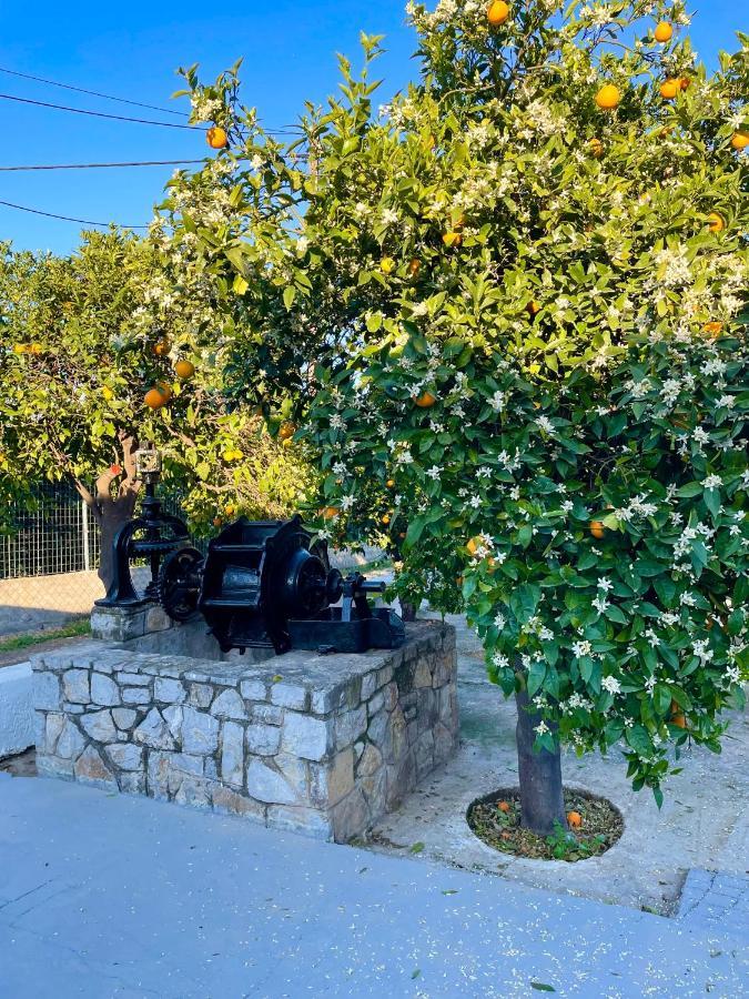 Citrus Garden Epidaurus Exterior foto