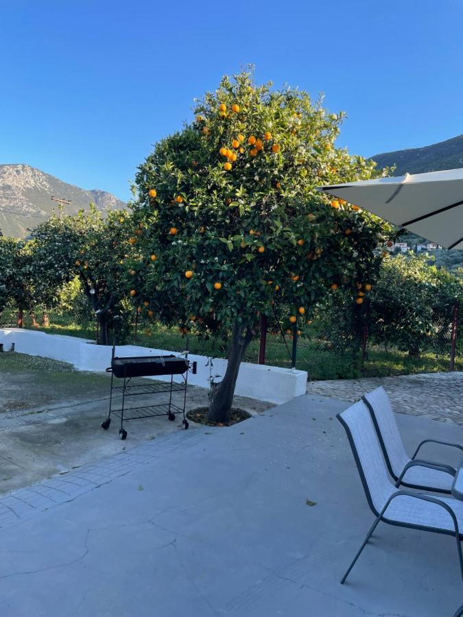 Citrus Garden Epidaurus Exterior foto