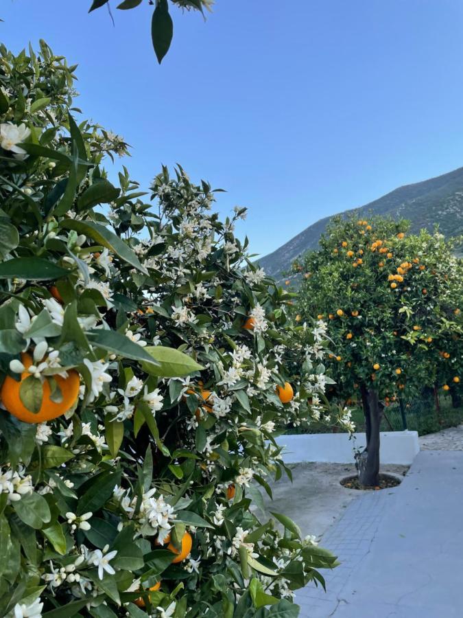 Citrus Garden Epidaurus Exterior foto