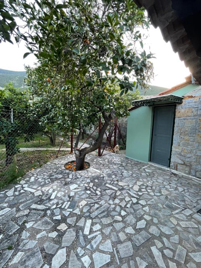Citrus Garden Epidaurus Exterior foto
