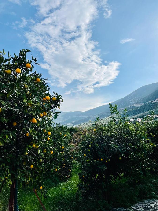 Citrus Garden Epidaurus Exterior foto